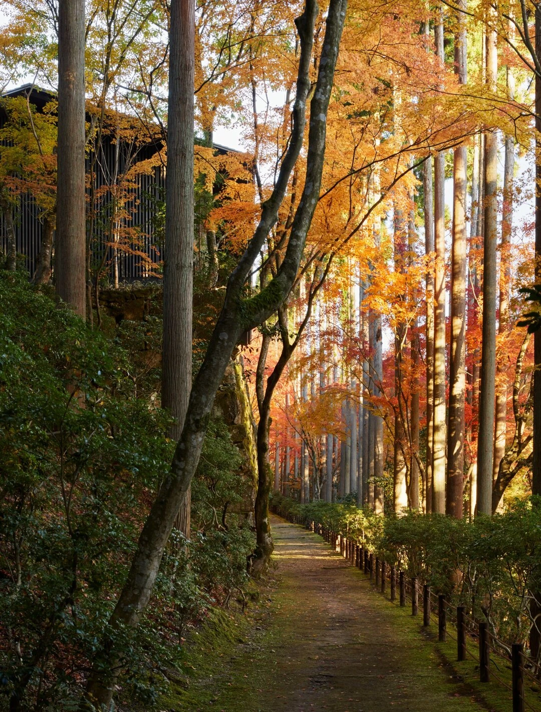 日本 · 京都安缦