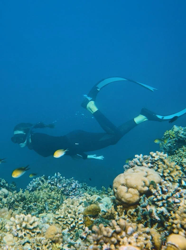 从海面走向海底