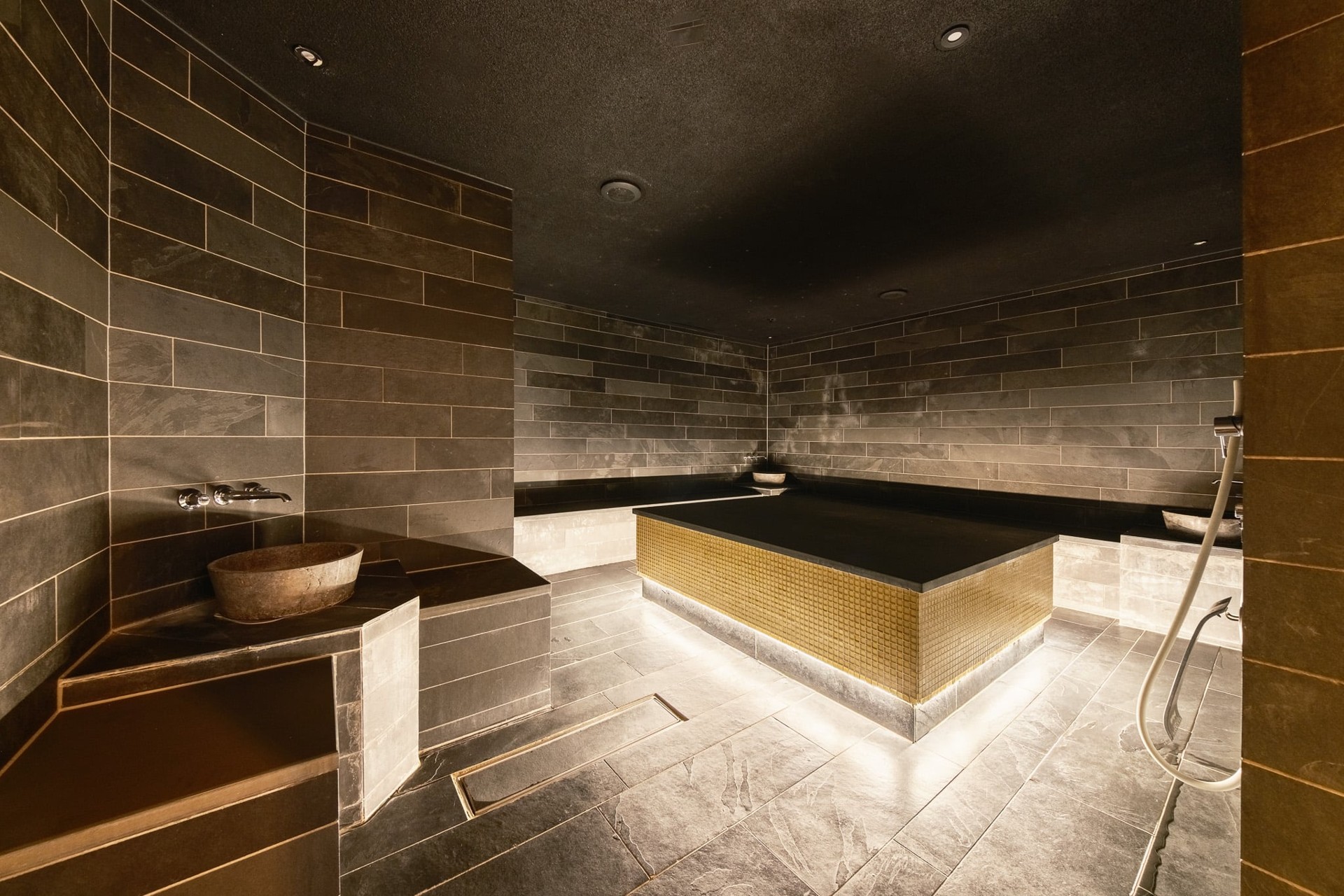THE THIEF · SPA