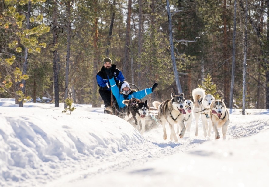 Saariselkä · 犬拉雪橇实景参考