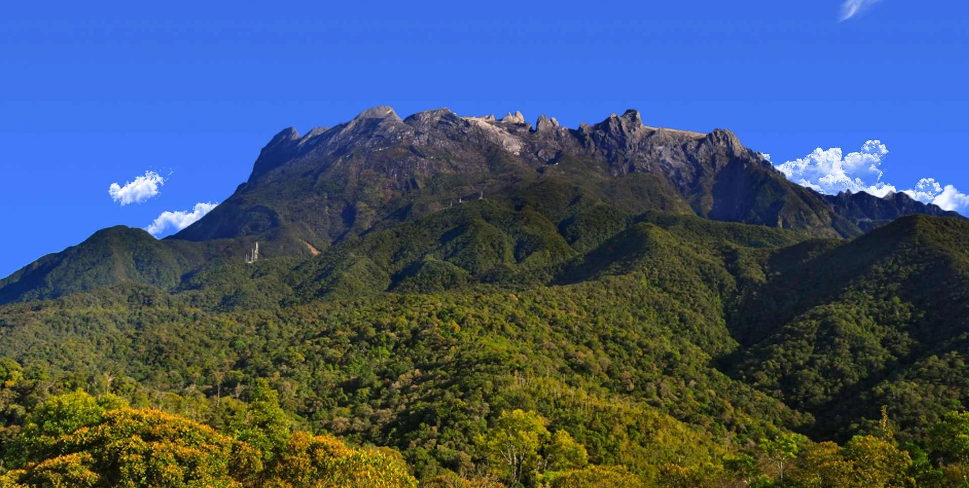 神山与山麓森林