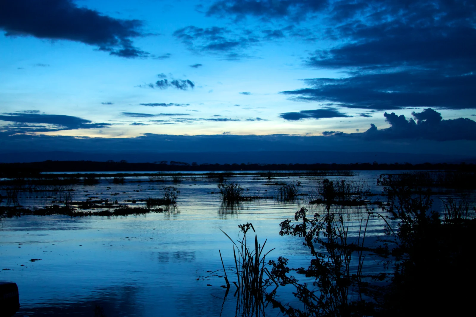 纳瓦沙湖 · 实景