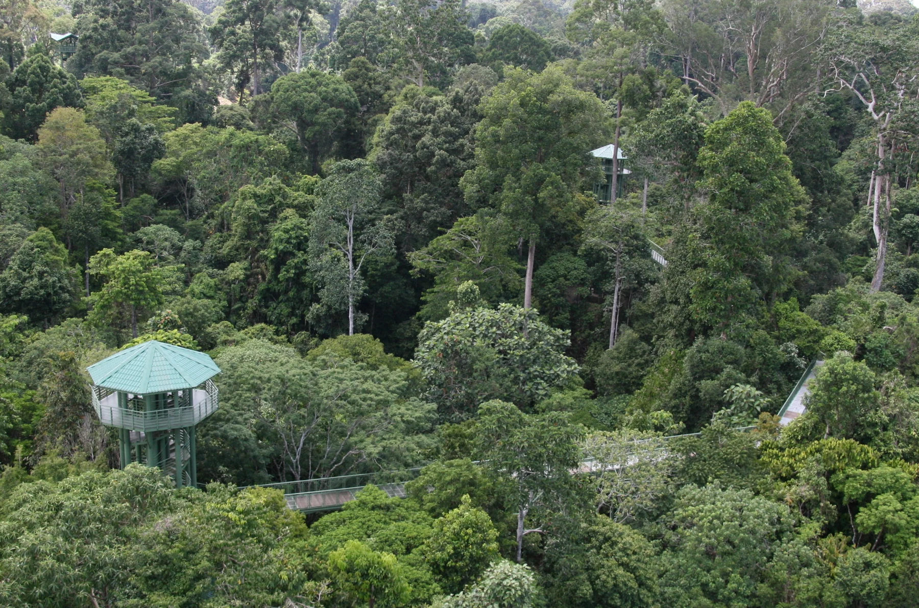 RDC 雨林探索中心 · 实景