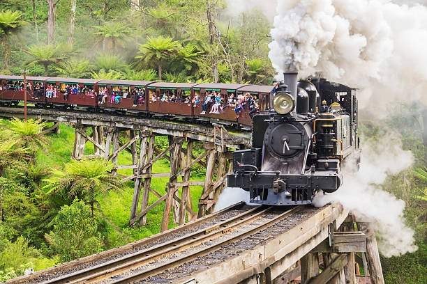 Puffing Billy 蒸汽小火车
