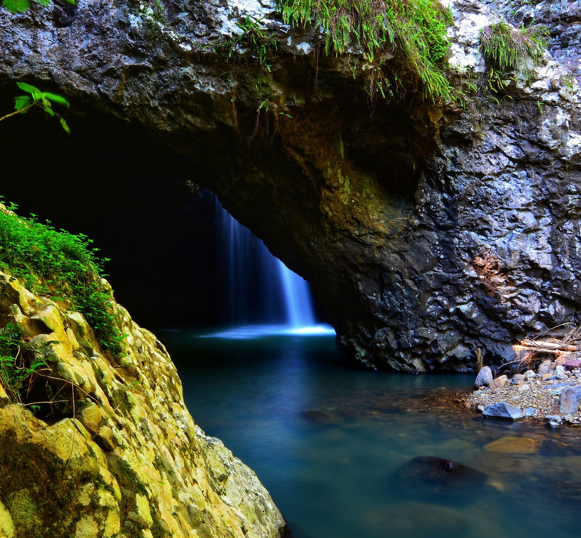 Springbrook + Natural Bridge
