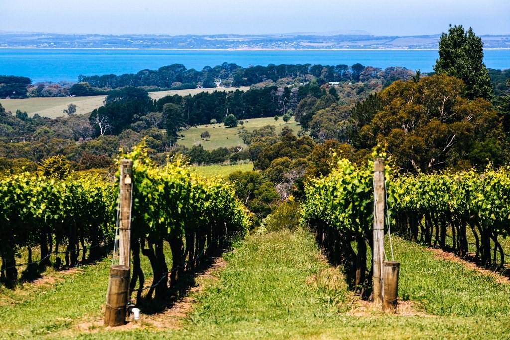 只离开城市一天：Mornington Peninsula